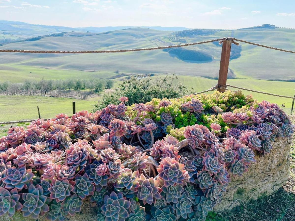 Poggiosalto In Toscana Pienza Zewnętrze zdjęcie