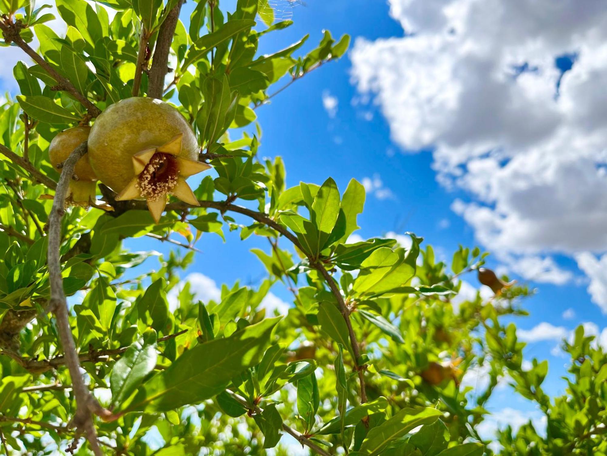 Poggiosalto In Toscana Pienza Zewnętrze zdjęcie