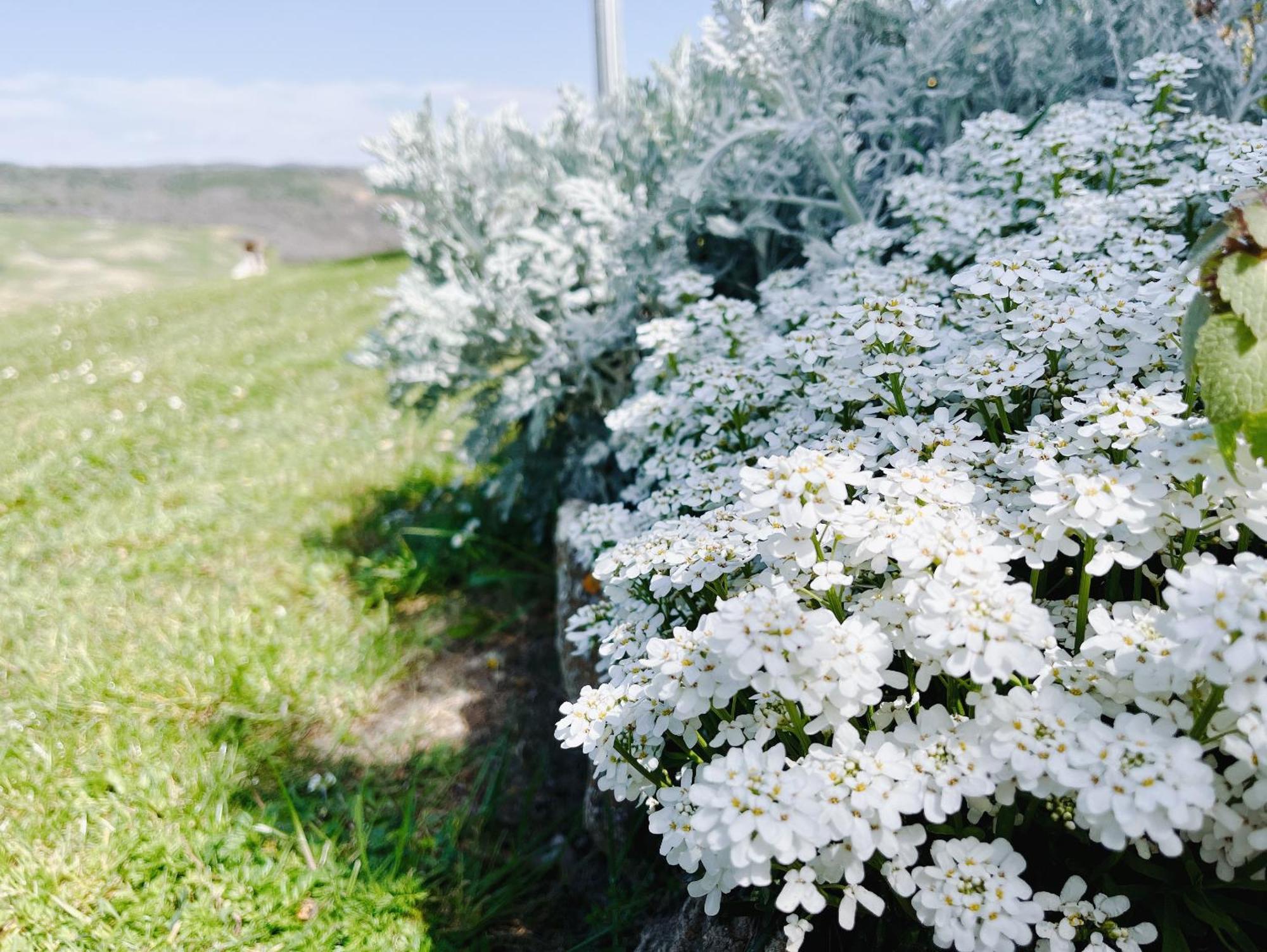 Poggiosalto In Toscana Pienza Zewnętrze zdjęcie