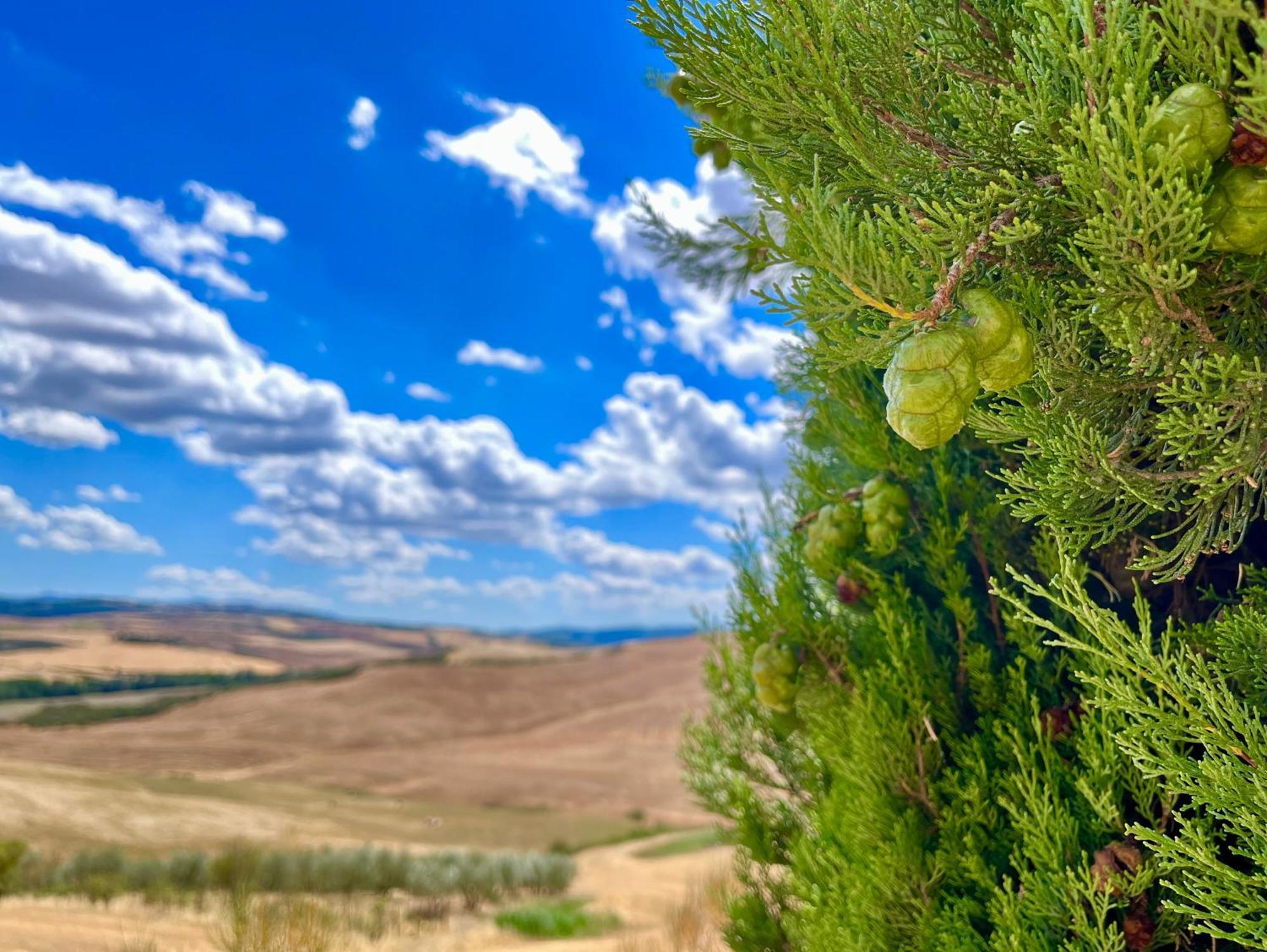 Poggiosalto In Toscana Pienza Zewnętrze zdjęcie